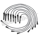 Walker 924-1660 Spark Plug Wire Set