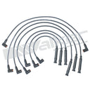 Walker 924-1862 Spark Plug Wire Set