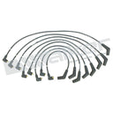 Walker 924-2042 Spark Plug Wire Set