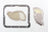 Pioneer Cables 745012 Transmission Filter Kit