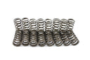 Pioneer Cables S-1055 Engine Valve Spring Kit
