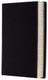 Pronto PA5558 Engine Air Filter
