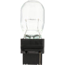 Philips WT21WCP Back Up Light Bulb