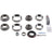 BGMG 10038945 Differential Rebuild Kit - Rear