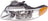 Dorman 1590450 Headlight Assembly - Left
