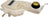 Dorman 603-115 Engine Coolant Reservoir - Front