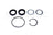 Sunsong 8401242 Steering Gear Pitman Shaft Seal Kit
