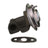 Standard Ignition EGV452 EGR Valve