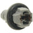 Standard Ignition S-1091 Side Marker Light Socket - Front