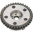 Standard Ignition VVT741 Engine Variable Valve Timing (VVT) Sprocket - Exhaust