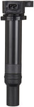 Spectra C691M4 Ignition Coil