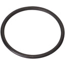 Spectra LO210 Fuel Pump Tank Seal - Left