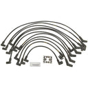 Blue Streak 10019 Spark Plug Wire Set