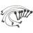 Standard Ignition 27681 Spark Plug Wire Set