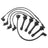 Standard Wires 55015 Spark Plug Wire Set
