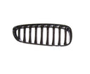 TechPro BM1200201 Grille - Right