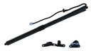 Tuff Support 615109 Liftgate Lift Support - Right