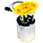 Continental 228-235-089-003Z Fuel Pump Module Assembly