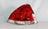 TYC 11-6180-00 Tail Light Assembly - Left