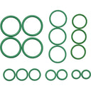 Universal Air RS2521 A/C System Seal Kit