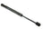 Autotecnica FD0816550 Trunk Lid Lift Support