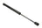 URO GNA3800AB Trunk Lid Lift Support - Rear