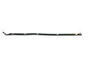 Autotecnica MA0817099 Door Window Belt Weatherstrip - Front Right