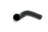 Vaico V20-1348 Radiator Coolant Hose - Lower - Water Pump To Radiator