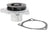 Vaico V24-50019 Engine Water Pump
