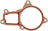 Mahle K32004 Engine Water Pump Gasket