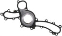 Mahle K32165 Engine Water Pump Gasket
