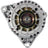 Remy 23713 Alternator