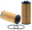 Wix WL10081 Engine Oil Filter