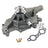 InMotion WU5089 Engine Water Pump