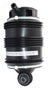 Westar AS-7035 Air Suspension Spring - Rear Right