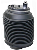 Westar AS-7037 Air Suspension Spring - Rear Left