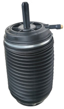 Westar AS-7082 Air Suspension Spring - Rear Right
