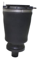 Westar AS-7342 Air Suspension Spring - Rear Left