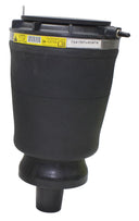 Westar AS-7343 Air Suspension Spring - Rear Right