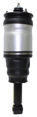 Westar AS-7360 Air Suspension Strut - Rear
