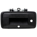 WAI 360121 Tailgate Handle - Rear