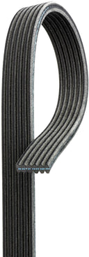 Gates DK050610 Serpentine Belt