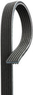 Gates DK060973 Serpentine Belt