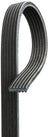 Gates DK070817 Serpentine Belt