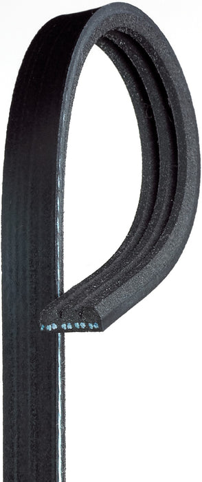 Gates K030280 Serpentine Belt - Alternator
