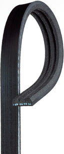 Gates K030309SF Serpentine Belt - Water Pump