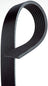 Gates K070505 Serpentine Belt
