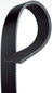 Gates K070667 Serpentine Belt