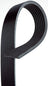 Gates K071005 Serpentine Belt