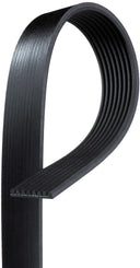 Gates K081331 Serpentine Belt